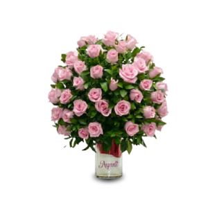 light-pink-roses-aynni